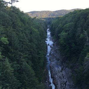 Meet your Posher, Selima